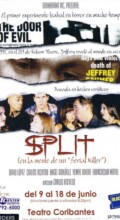 SPLIT: In the Mind of a Serial Killer